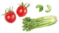 Set of frech celery with tomatoes watercolor illustration isolated on whitre background