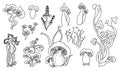 Set of freehand drawn line magic mushrooms.