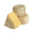 Set of french smelly cheeses, isolated
