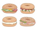 Set of 4 fresh bagel sandwiches with different fillings. Cream cheese, lox, vegetables. Vector illustration.