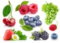 Set fresh berries healthy food fruit Royalty Free Stock Photo