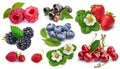 Set fresh berries healthy food fruit Royalty Free Stock Photo