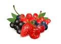 Set fresh berries on a white background Royalty Free Stock Photo