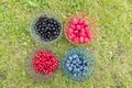 Set fresh berry. Mix summery fruit raspberry, redcurrant, blueberry, blackberry Royalty Free Stock Photo