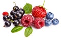 Set fresh berry. Mix summery fruit raspberry Royalty Free Stock Photo