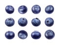 Set of fresh blueberries isolated on white background Royalty Free Stock Photo
