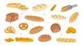 Set of fresh breads. Breads and pastry banner. Whole grain and wheat bread, pretzel, ciabatta, croissant, french