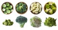 Set of fresh cabbage. Broccoli, cauliflower and roman cauliflower in wooden bowl isolated on a white background. Four bowls of cab Royalty Free Stock Photo