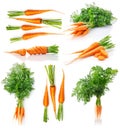 Set fresh carrot fruits with green leaves