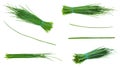 Set of fresh Chives isolated on white Royalty Free Stock Photo