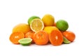 Set of fresh citrus fruits Royalty Free Stock Photo