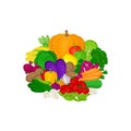 Set of fresh colorful vegetables isolated on white background. Royalty Free Stock Photo