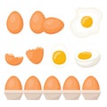 Set of fresh, cooked and fried eggs, vector illustration