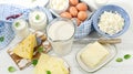 Set of fresh dairy products Royalty Free Stock Photo