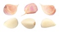 Set of fresh garlic cloves on white background. Banner design Royalty Free Stock Photo