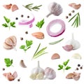 Set of fresh garlic and different seasonings on background