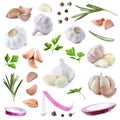 Set of fresh garlic and different seasonings on background