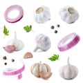 Set of fresh garlic and different seasonings on background