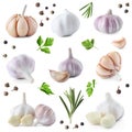 Set of fresh garlic and different seasonings on background