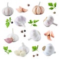 Set of fresh garlic and different seasonings on background