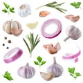 Set of fresh garlic and different seasonings on background