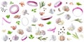 Set of fresh garlic and different seasonings on background, banner design