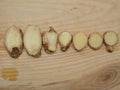 Set of fresh ginger slices on wood background. Royalty Free Stock Photo