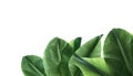 Set of fresh green banana leaves on background Royalty Free Stock Photo