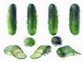 Set of fresh green cucumbers with sliced slices on a white background. Royalty Free Stock Photo