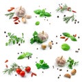 Set of fresh green herbs and spices isolated on white background, tomatoes, basil leaf, bay leaf, black pepper, rosemary, cardamom Royalty Free Stock Photo