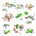 Set of fresh green herbs and spices isolated on white background, tomatoes, basil leaf, bay leaf, black pepper, rosemary, cardamom Royalty Free Stock Photo