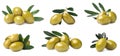 Set with fresh green olives on white background. Banner design Royalty Free Stock Photo