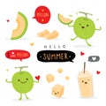 Set of fresh Japanese melons, orange melon or cantaloupe melon with smoothie. Fruit Summer Cartoon Smile Funny Cute Character Vect