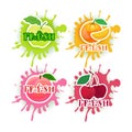 Set Of Fresh Juice Logo Fruits Over Paint Splash Background Natural Food Farm Products Concept
