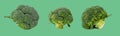 Set of fresh juicy broccoli heads. Vitamins and healthy food. Isolated on a light green color background. Panorama format Royalty Free Stock Photo