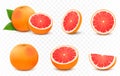 Set of fresh juicy grapefruit with leaves. Half, slice, and whole of citrus fruit, isolated on transparent background. Summer Royalty Free Stock Photo