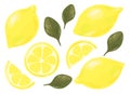 Set of fresh juicy lemons. Slices of fruit.