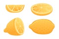 Set of fresh lemon fruit whole and half, slice and piece of lemon ready for tea vector illustration on white background Royalty Free Stock Photo