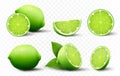 Set of fresh Lime. Whole, half, cut slice lime fruits isolated on transparent background. Summer citrus for healthy lifestyle. Royalty Free Stock Photo