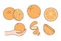 Set of fresh natural juicy oranges