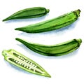 Set of fresh okra isolated on a white background