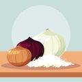 set of fresh onions vegetables Royalty Free Stock Photo