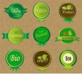 Set of Fresh Organic Labels Royalty Free Stock Photo