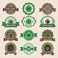 Set of Fresh Organic Labels and Elements. Royalty Free Stock Photo