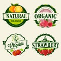 Set of Fresh & Organic labels Royalty Free Stock Photo