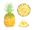 Set of fresh pineapple. Watercolor illustration Royalty Free Stock Photo