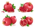 Set of fresh pomegranate whole, half and cut slice Royalty Free Stock Photo