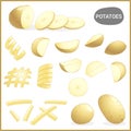 Set of fresh potatoes vegetable with various cuts and styles in vector illustration