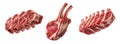 Set of rack of Lamb, isolated on white background, showcasing culinary concept Royalty Free Stock Photo
