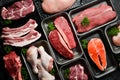 Set of fresh raw meat and fish in plastic boxes: veal, salmon steak, chicken, pork. Banner for the supermarket. Royalty Free Stock Photo